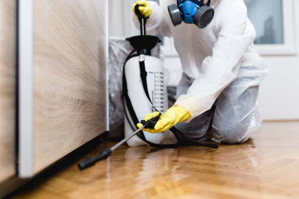 Best Pest Inspection Near Me  in Cary, IL