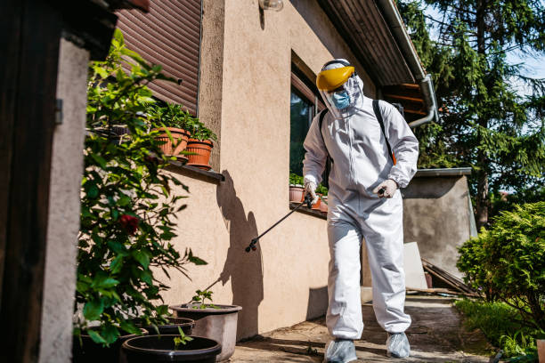 Best Wasp Removal Services  in Cary, IL