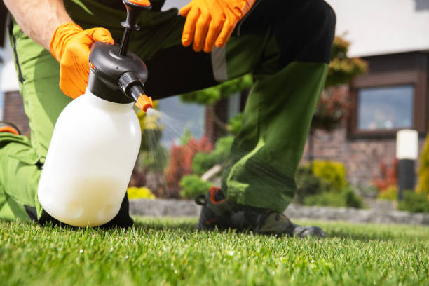 Flea Control Services in Cary, IL