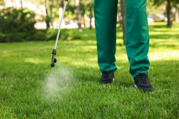 Best Cockroach Control Services  in Cary, IL