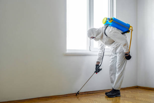 Best Emergency Pest Control  in Cary, IL