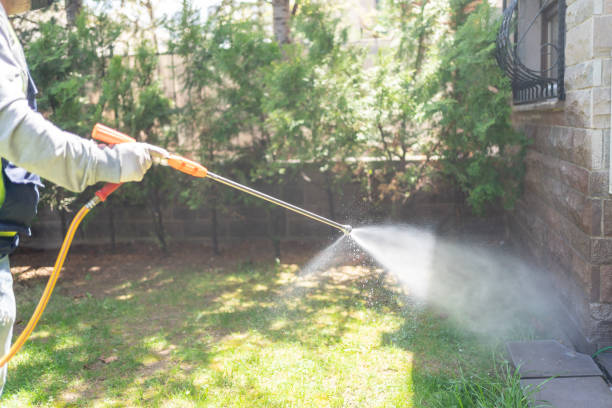 Spider Control Near Me in Cary, IL