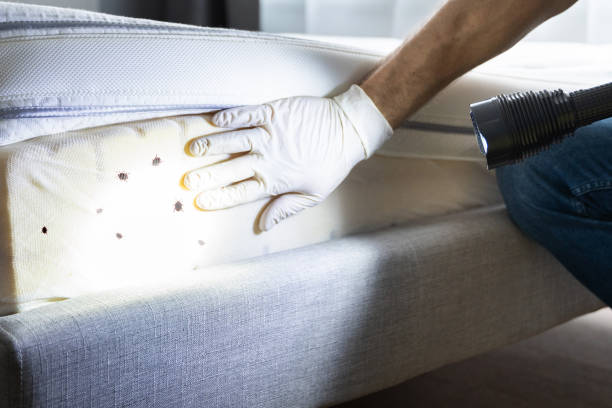 Best Affordable Pest Control Services  in Cary, IL