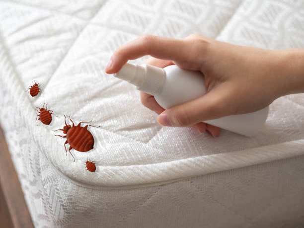 Best Flea Control Services  in Cary, IL