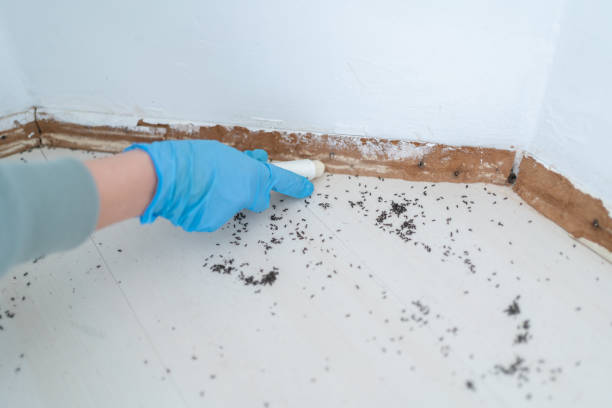 Pest Prevention Services in Cary, IL